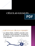 Celulas Gliales