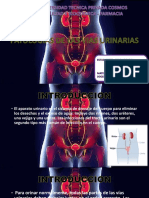 Patologia Urinarias