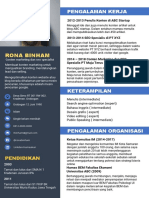 CV Template