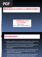 Basic English Conversation Pdf