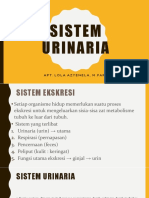 Sistem Urinaria ANFISMAN