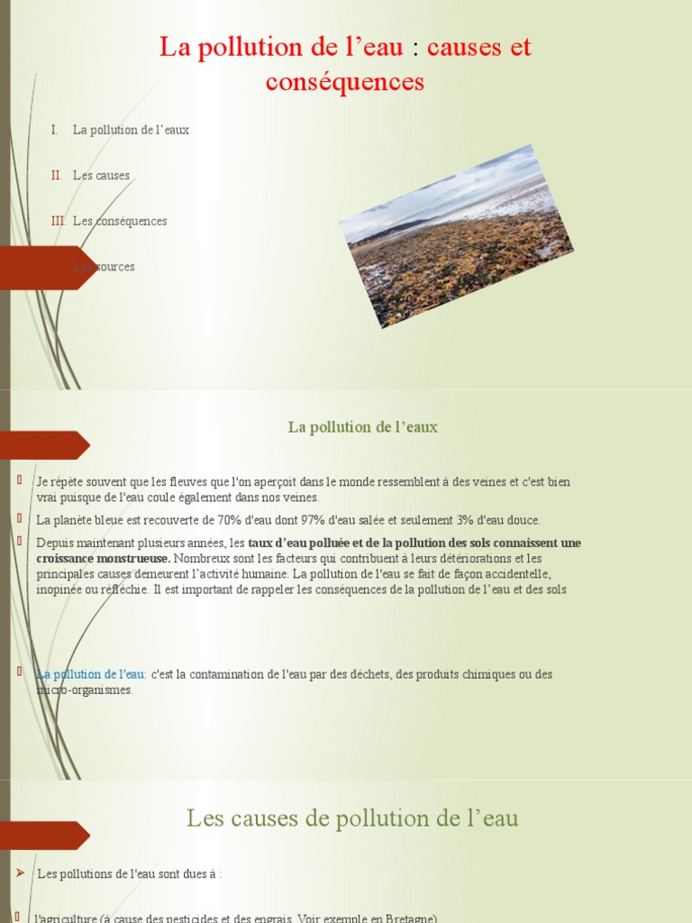 Pollution de l'eau : causes et conséquences | PDF | Pollution de l'eau ...