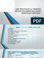 Clase Práctica #10 Nervos Craneales Completa