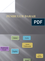 Pembuluh Darah