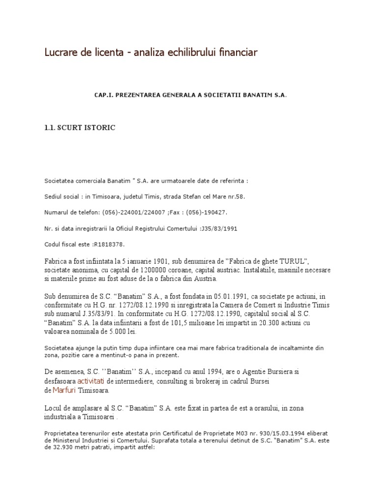 Bilant Financiar Contabil Firma | PDF