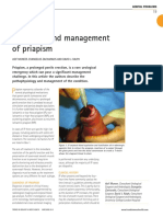 Diagnosis and Management of Priapism: Asif Muneer, Evangelos Zacharakis and David J. Ralph