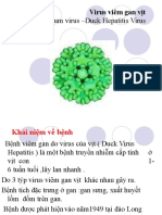 Duck Hepatitis Virus-Converti