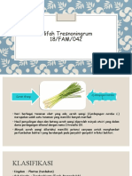 04 - Alifah T. PPT Fitokimia (Daun Sereh Wangi)