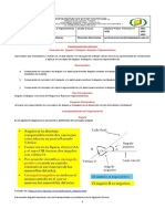 Guia de Trabajo 2 Trigonometría Décimo Primer Periodo