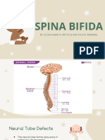 Spina Bifida: By: Eloisa Anne N. Recto & Ane Kyla M. Waminal