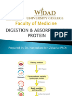 Digestion & Absorption of Protein
