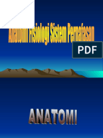 anatomi-fisiologi-respirasi