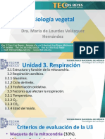 Fisiología Vegetal U3 3.1