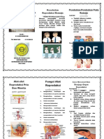 Leaflet Kesehatan Reproduksi Remaja (Tri.w)