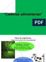 Cadenas Alimentarias 7°