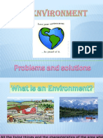Environmentalproblemsandsolutions 110103145312 Phpapp02