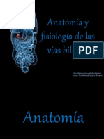 Anatomayfisiologadelasvasbiliares 150119234911 Conversion Gate02