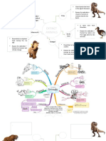 Science - Animal Extinction