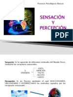 Sensacion y Percepcion