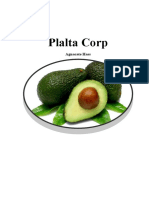 Brochure Palta Corp