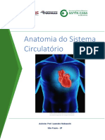 Enfermagem_Parceria_FCMSCSP_CursoECMC_Anatomia_do_sistema_circulatorio