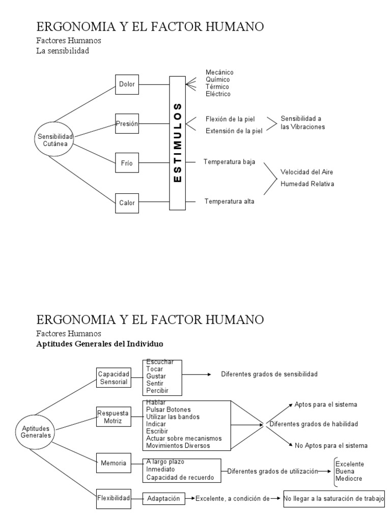 Ergonomía y El Factor Humano | PDF | Factores humanos y ergonomía ...