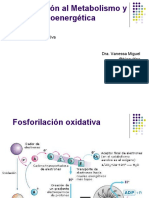 Fosforilacionoxidativa2010 120308115025 Phpapp01