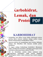 Protein Dan Karbohidrat