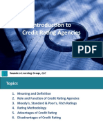 Introduction To Credit Rating Agencies: Saunders Learning Group, LLC