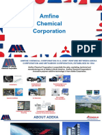 Amfine Chemical Corporation: Strictly Confidential