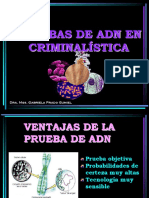 Adn Criminalistica