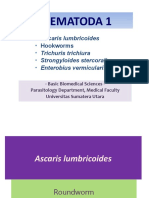 Nematoda Parasites Ascaris, Hookworms, Whipworm & More