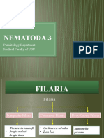 BBS1 PR K4 Nematoda 3