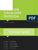 BBS1 PR K10 Protozoa 2