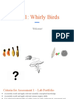 Whirly Birds Lab 2020