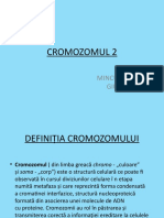 Cromozomul 2: Minculescu Giulia
