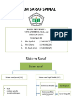 SISTEM SARAF SPINAL