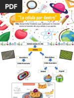 8° La Célula Por Dentro. EVALUACIÓN
