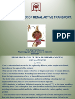4 - Parameters of Renal Active Transport