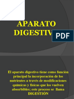 12 Aparato Digestivo1