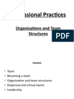Professional Practices: Organizations and Team Structures