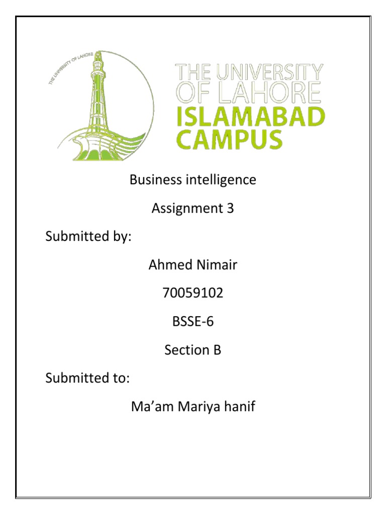 business intelligence assignment pdf