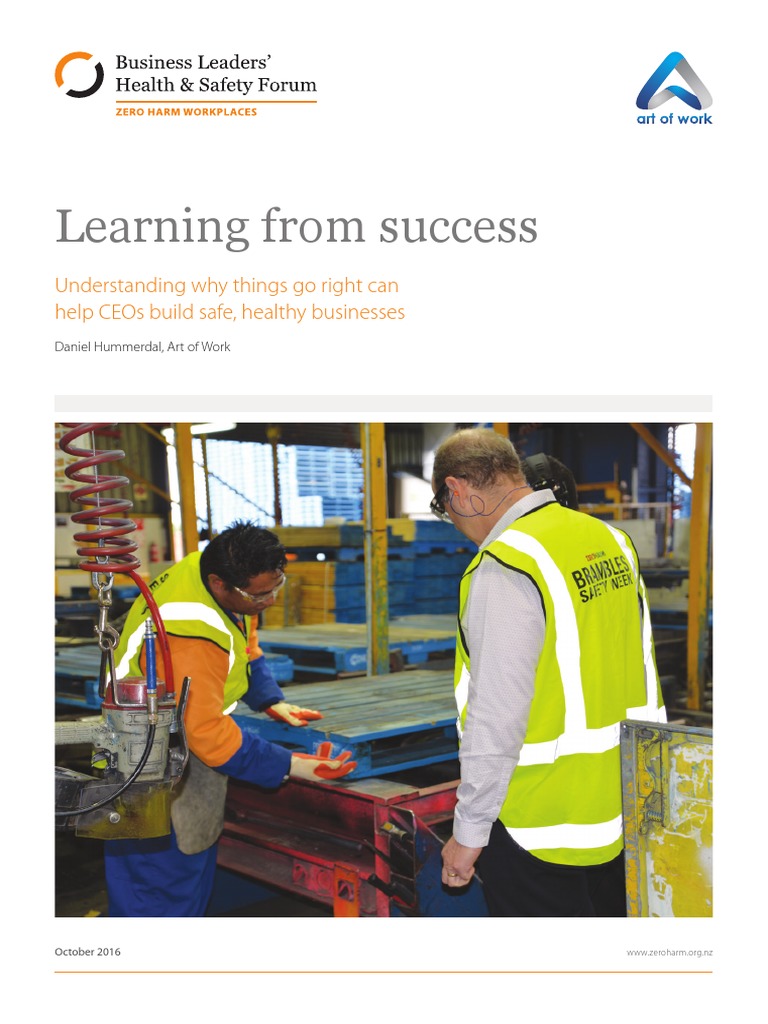 Learning From Success | PDF | Occupational Safety And Health | Safety