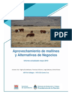 inta_aprovechamiento_de_mallines_y_alternativas_de_negocios