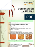 5 Contracción Músculo Esquelético