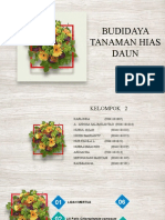 Kelompok 2 - Budidaya Tanaman Hias Daun 2