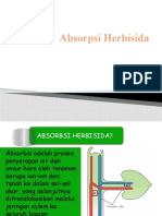 Absorbsi Herbisida