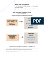 PRINCIPIOS REGISTRALES