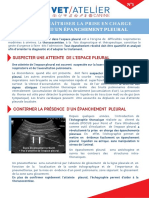 Fiche Synthese Agria Vetatelier 1 Epanchement Pleural DR Celine Pouzot Nevoret