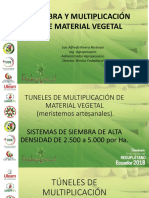 20.siembra y Multiplicación Material Vegetal